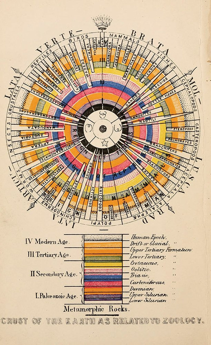 The Book of Circles: Visualizing Spheres of Knowledge: (With over 300 Beautiful Circular Artworks, Infographics and Illustrations from across History)