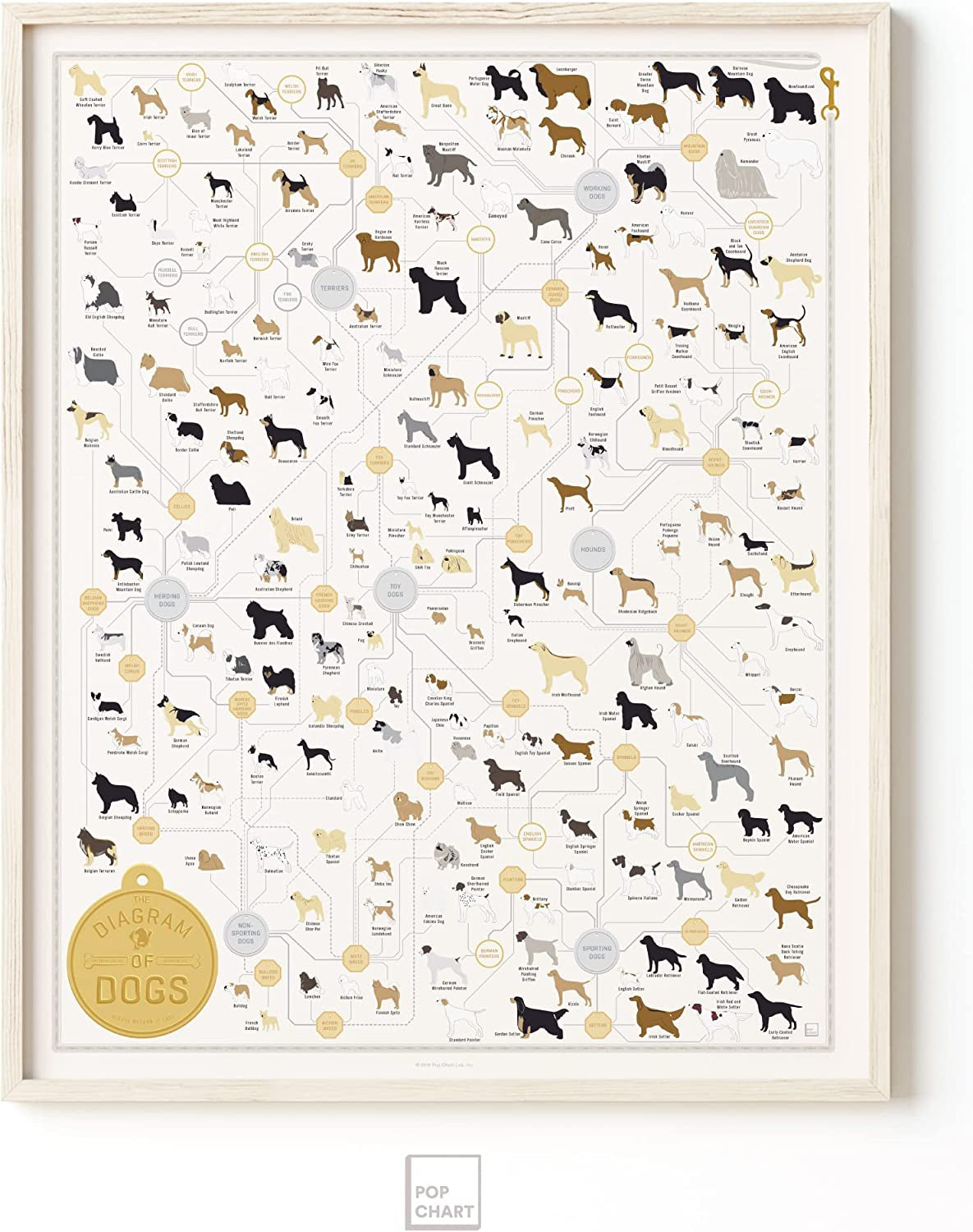 Pop Chart | the Diagram of Dogs | 16" X 20" Art Poster | Infographic of Every Canine Breed | Perfect Dog Lover Wall Decor for Living Room, Kitchen, and Bedroom | 100% Designed and Made in the USA