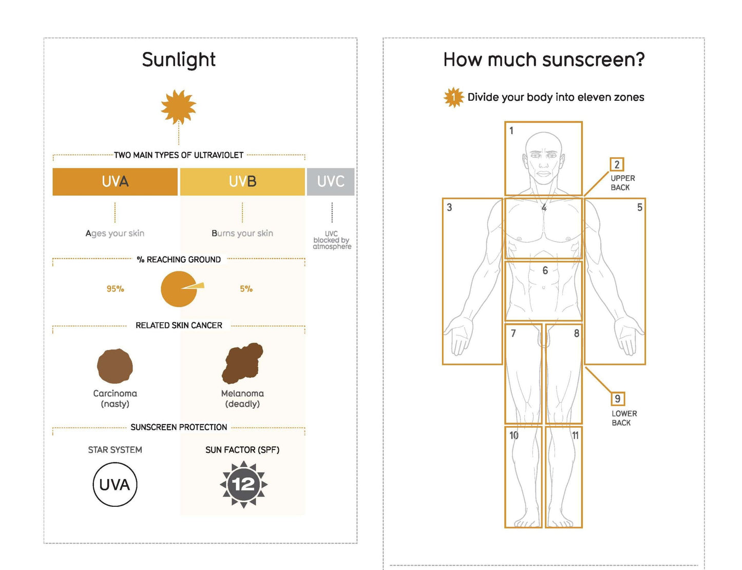 Information Is Beautiful (New Edition)