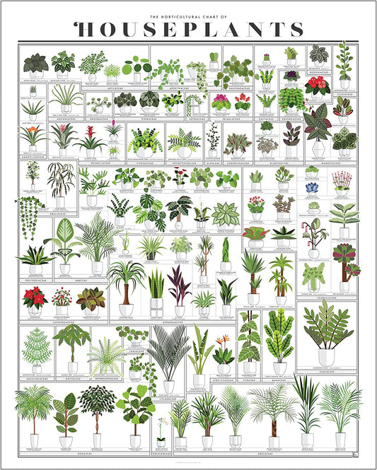 Pop Chart | the Horticultural Chart of Houseplants | 16" X 20" Art Poster | Botanical Reference Print of over 100 Potted Plants | Cottagecore Wall Decor for Living Room, Bedroom, and Dining Room | 100% Made in the USA