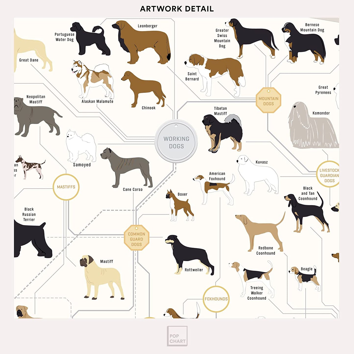 Pop Chart | the Diagram of Dogs | 16" X 20" Art Poster | Infographic of Every Canine Breed | Perfect Dog Lover Wall Decor for Living Room, Kitchen, and Bedroom | 100% Designed and Made in the USA