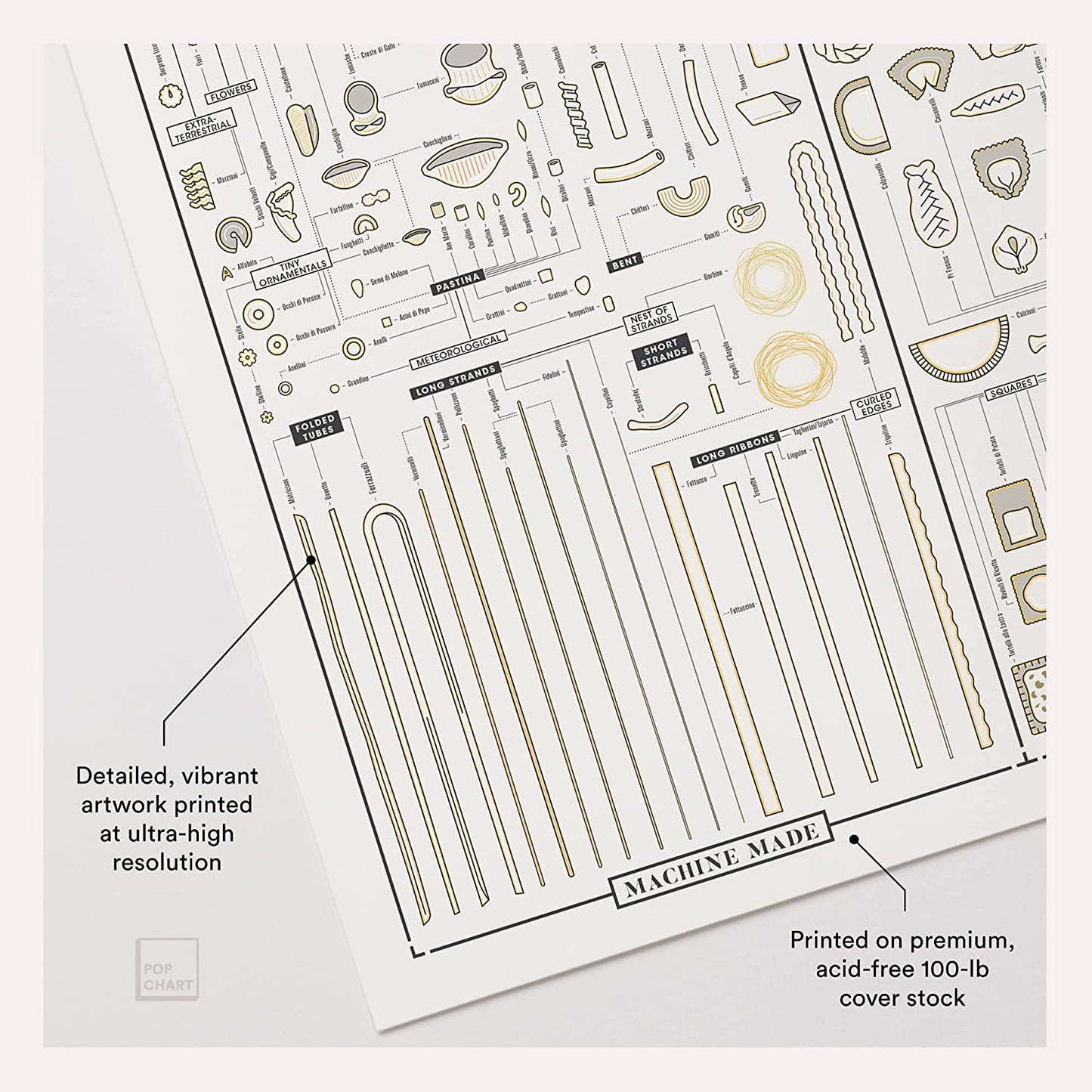 Pop Chart | the Permutations of Pasta | 18" X 24" Art Poster | a Complete Catalog of Every Pasta Shape | Foodie Wall Decor for Kitchen | 100% Made in the USA (18X24)